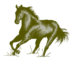 horse5.gif